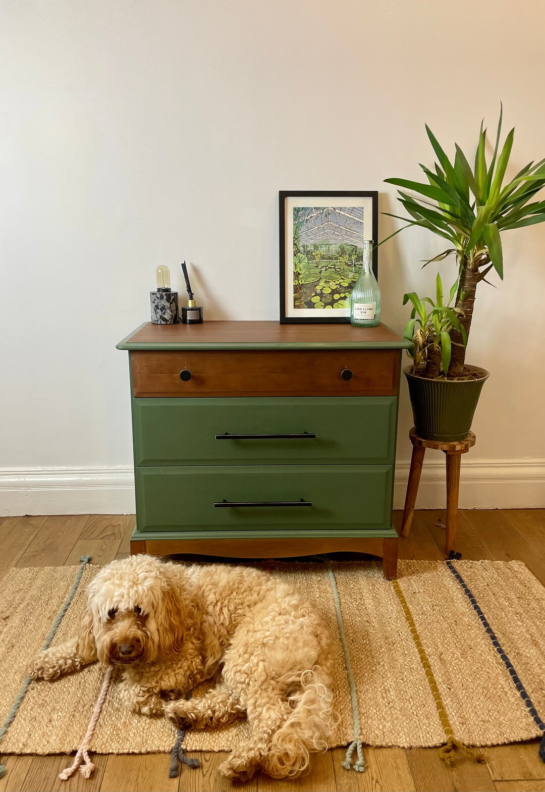 Small Green Chest of Drawers / Black Handles / Contemporary Etsy UK
