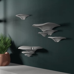 Mushroom Wall Shelf | Fairycore Decor & Storage | Cute Mushroom Display for Trinkets, Plants  Crystals | Whimsical Wall Art