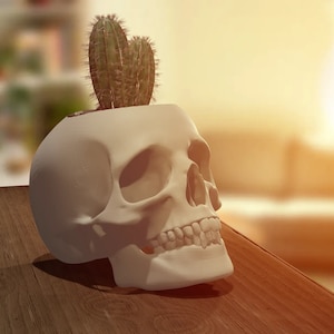 Gothic Flora: Skull Planter with Drain Holes and Drainage Cup