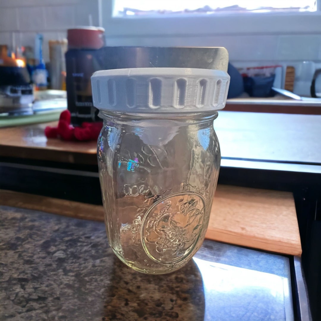 Ecofriendly Fruitflyfortress Mason Jar Fly Trap Lid Kitchen Essential
