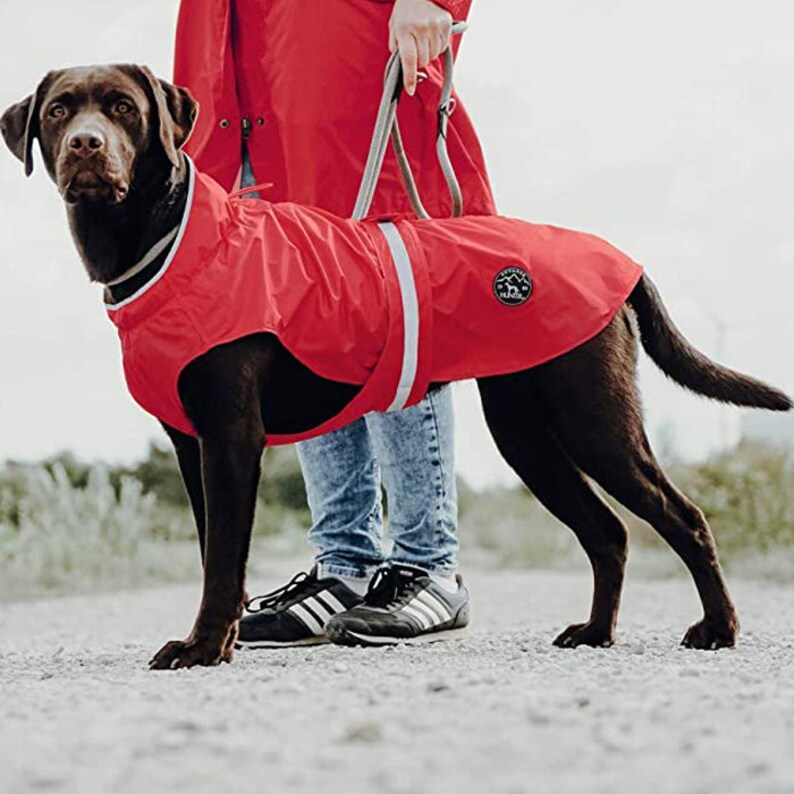 Dog Raincoat Dog Coat Dog Waterproof Red Dog Raincoat Etsy