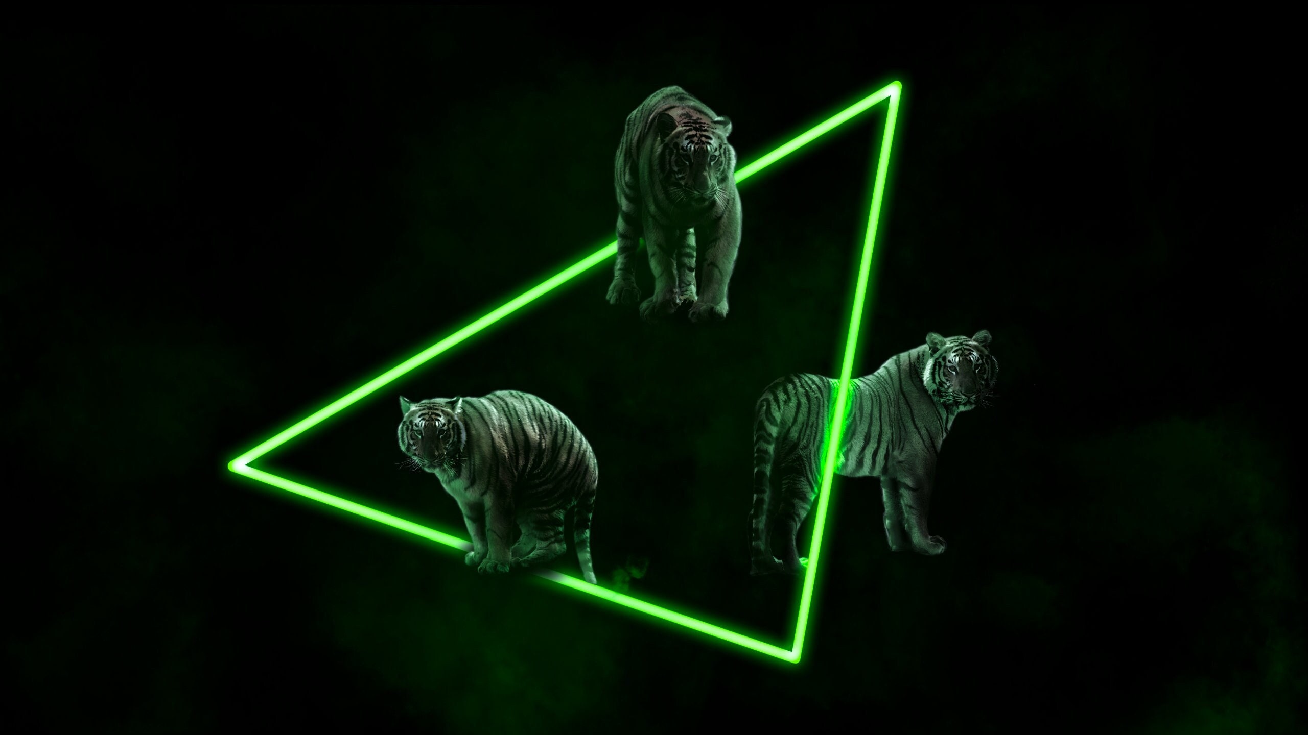 Laptop Wallpaper Desktop Wallpaper Animal Laptop Wallpaper Animal ...