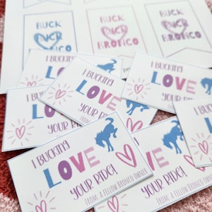You&#39;ve Been Bucked VALENTINE printable cards / Bronco Game / Buck Buck Bronco / Bronco Bucked tags / Valentine Bucked tags