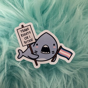 Puede incluir: Una pegatina troquelada que muestra un tibur&oacute;n de dibujos animados con cuerpo gris y mejillas rosadas. El tibur&oacute;n sostiene un cartel blanco con el texto TRANS RIGHTS OR I BITES! y una peque&ntilde;a bandera de rayas horizontales azul claro, rosa y blanco.