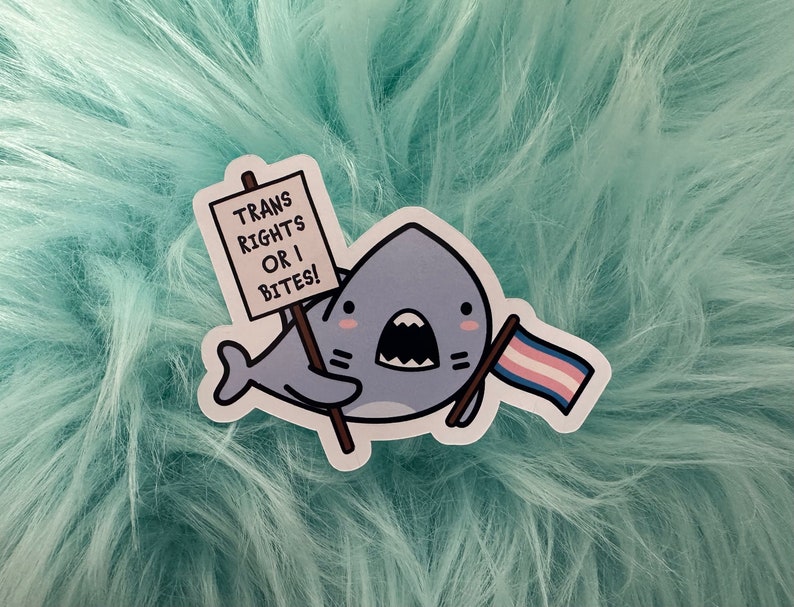 Puede incluir: Una pegatina troquelada que muestra un tibur&oacute;n de dibujos animados con cuerpo gris y mejillas rosadas. El tibur&oacute;n sostiene un cartel blanco con el texto TRANS RIGHTS OR I BITES! y una peque&ntilde;a bandera de rayas horizontales azul claro, rosa y blanco.