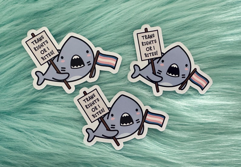 Puede incluir: Tres pegatinas id&eacute;nticas que muestran un tibur&oacute;n gris de dibujos animados con el vientre blanco. El tibur&oacute;n sostiene un cartel que dice "TRANS RIGHTS OR I BITES!" y una peque&ntilde;a bandera con rayas horizontales de color azul claro, rosa y blanco.