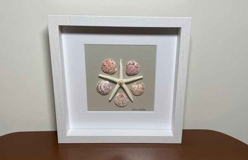 Shadow Box Frame Set, Florida Spiny Jewel Box, Prickly Cockle, Calico ...