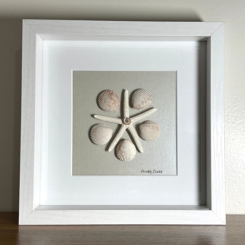 Shell Shadow Box - Etsy