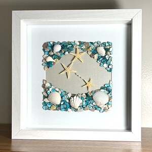Rebel sea star, Florida seashells, Coastal shadow box frame