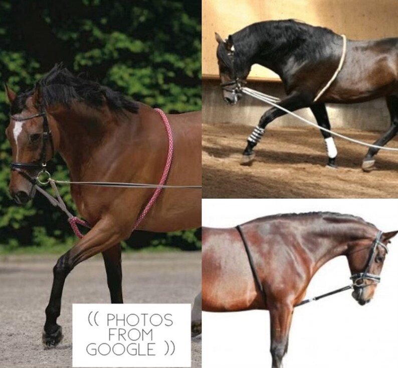 Model Horse Traditional Scale Lunging Aid bungee Etsy UK