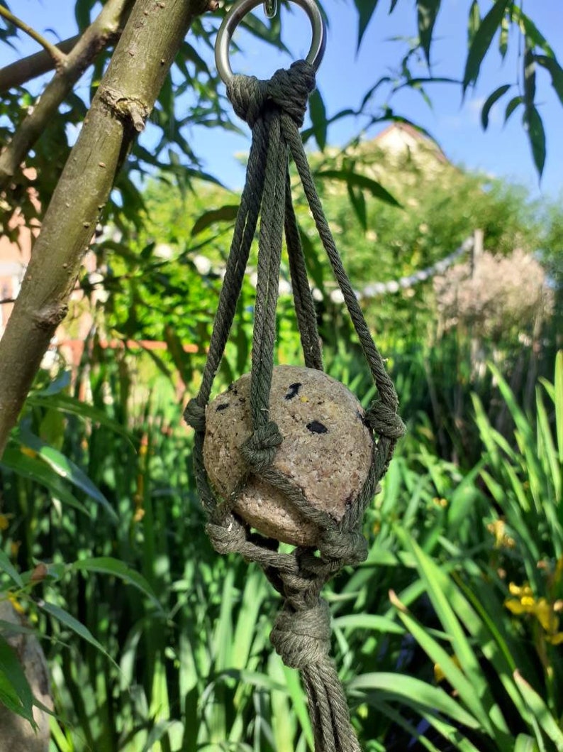 Vogelfutterstation Mit Kamera – Grün, Ideal Zur Vogelbeobachtung Im Garten