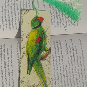 Marcador Loro Caribeño