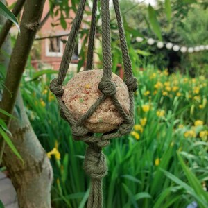 Homes Garden Vogelfutterstation – Stabile Plattform Für Wildvögel, Einfach Zu Reinigen