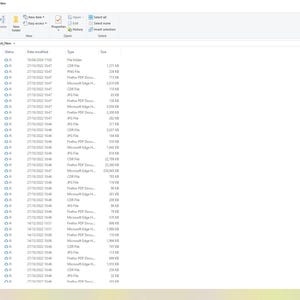 Op de afbeelding: Een computerscherm met een bestandsmap met de naam "Vehicle_Pack_New". De map bevat een lijst met bestanden met namen, datums, typen en groottes. De interface is lichtblauw.