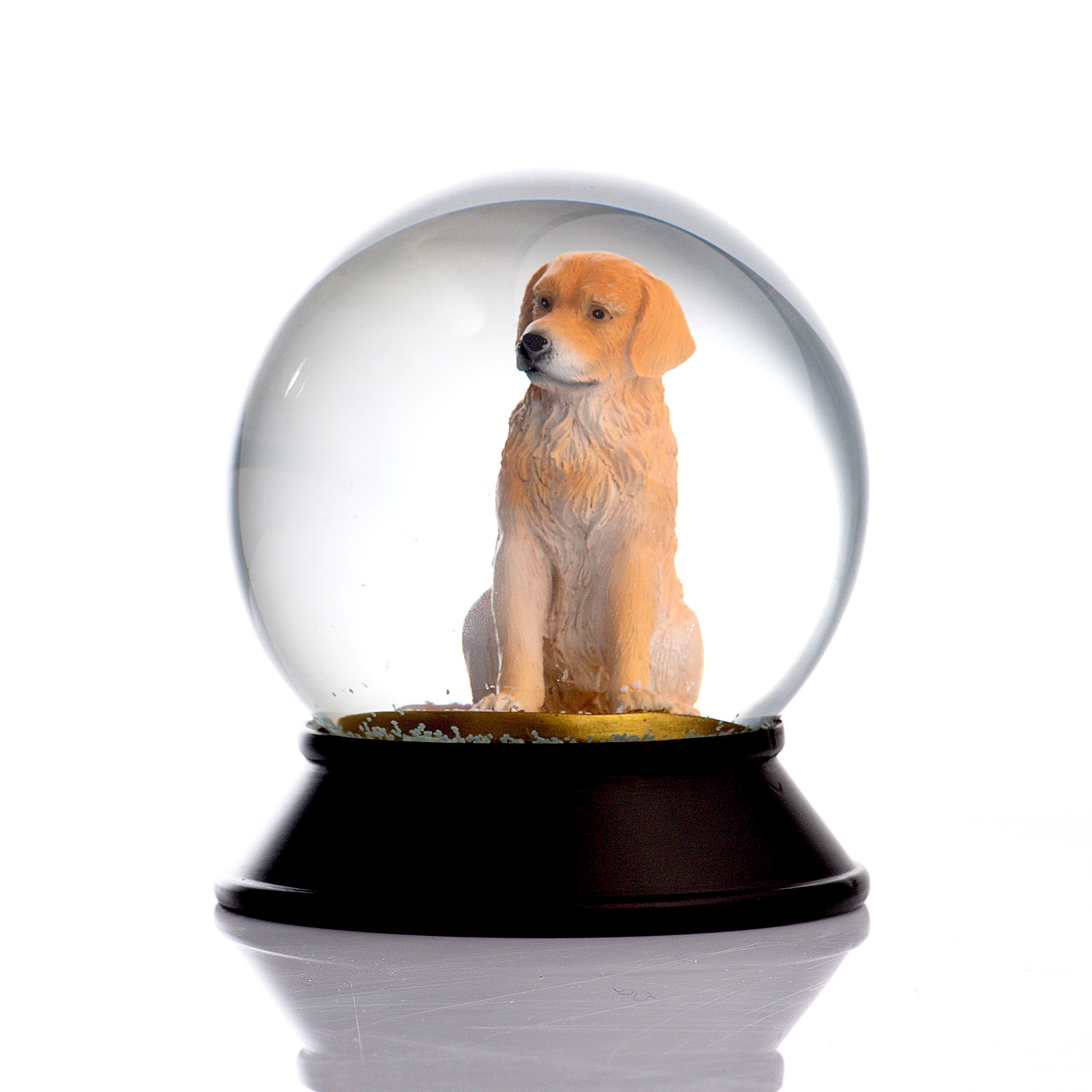 Snoowg Pet Snow Globe Golden Retriever Customizable Name Tag, Perfect