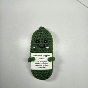 Emotional Support Pickle, A little pocket hug,  Thinking of you, Hug token, Gift for friends, Pickle for positive hug