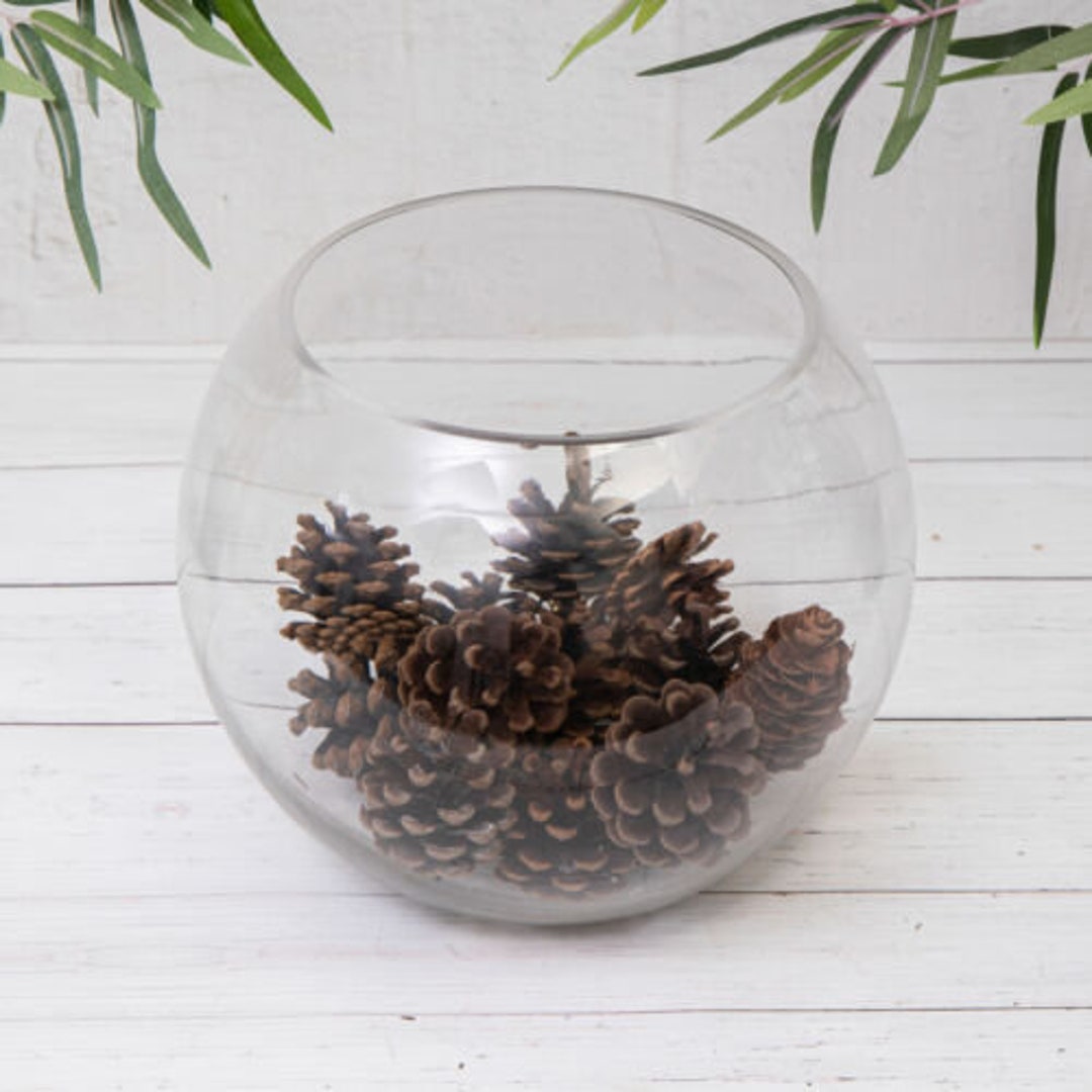 Clear Glass Flower Round Ball Bubble Vase Fish Bowl Table Etsy