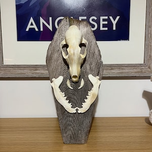 Handmade real fox skull freestanding display