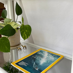 1998 Sammlung von National Geographic Vintage Magazine Prints -Kaffeetisch Bücher -Cool Alte und Vintage Zeitschriften Cover -Magazine Collection