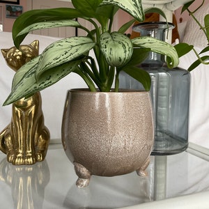 Grauer Runder Elefantenbein Übertopf - Mittelgroßer Übertopf - Geschenk Schreibtisch Dekor - Einzigartige Keramik - Tier Topf Übertopf - Minimal