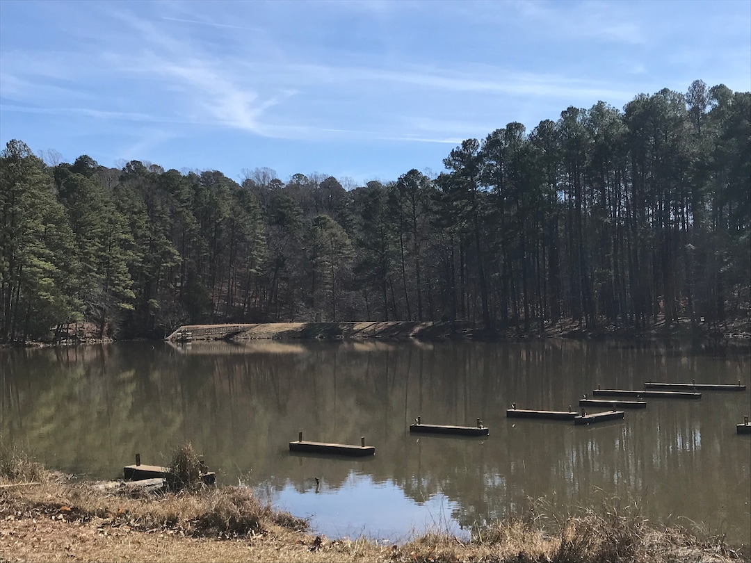 Umstead State Park NC - Etsy