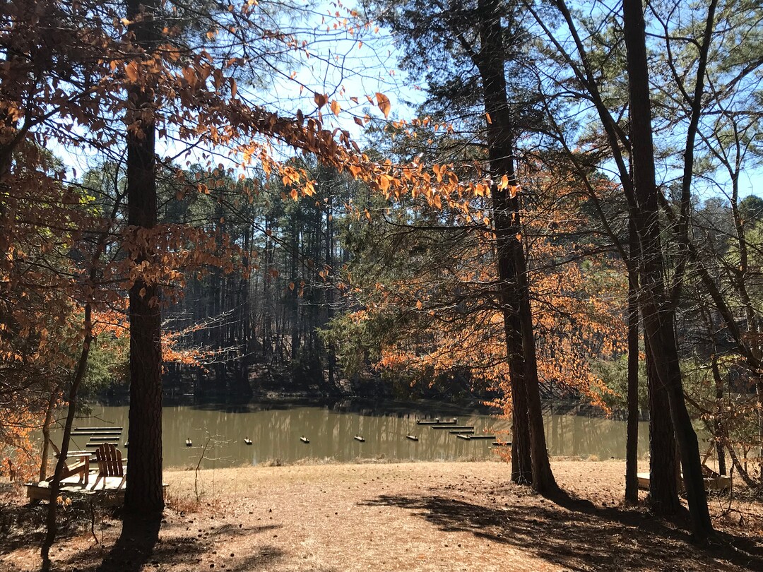 Umstead State Park NC - Etsy