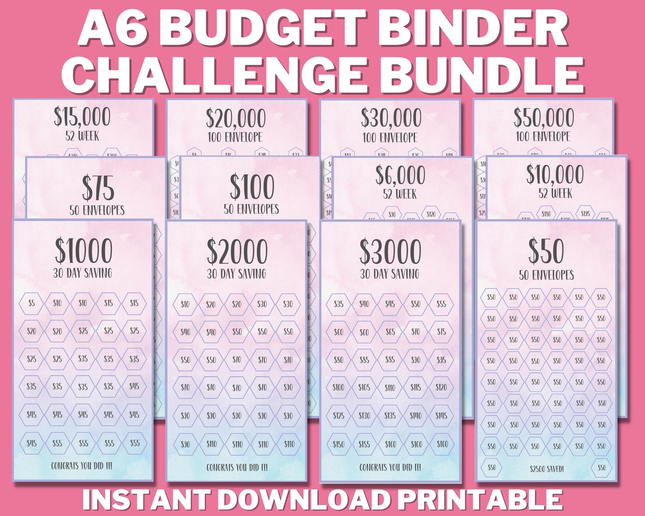 Two-sided cent challenge tracker for A5, A6 laminated and perforated budget  binder or A6 zip envelope format