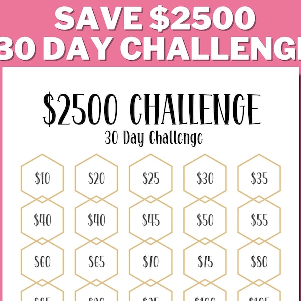 2500 30 DAY CHALLENGE Printable, 2500 Savings Challenge, Savings Goal, Money Challenge, Saving Money, US Letter, Instant Download