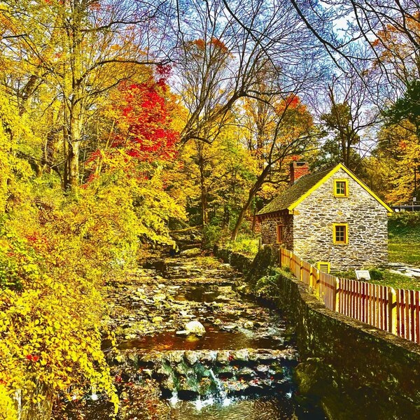 Philadelphia Fall Colors