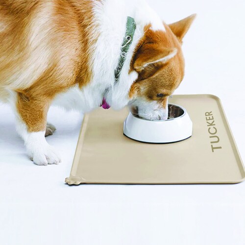 Silicone Pet Food Mat Waterproof Raised Edges to Prevent Etsy