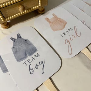 May include: A collection of gender reveal fans. One fan features a watercolor illustration of blue overalls with the text "TEAM BOY." Another fan displays a pink romper with the text "TEAM girl." The fans have wooden handles.