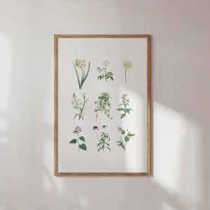 Spring Wildflower Wall Art Print, Summer Flower Print, Boho Prints, Nursery Decor, Boho Gallery Wall Art, Botanical Prints, Floral Prints