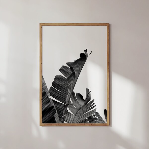Minimal Banana Leaf Print, Botanical Art Print, Topical Printable, Black and White Prints, Minimal Scandinavian Prints, Gallery Wall Prints