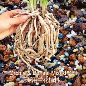 Common plant material for orchids -混合兰花植料  标准专业兰花土 至尊营养兰花土 1.5L/bag