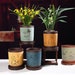 see more listings in the Flower Pots section