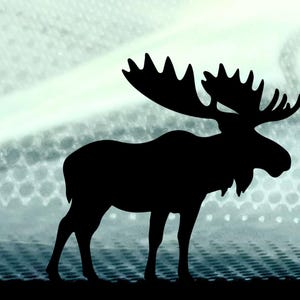 Moose Vinyl Decal – Matte Black Oracal 651 – Wildlife Sticker for Car, Laptop, Tumbler, Cooler, Camper – Outdoor Nature Animal Silhouette