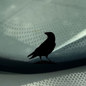 Tiny Crow Hidden Easter Egg Decal - Raven Windshield Sticker for Enthusiasts - Bird Decal - Blackbird - Corvus Sticker -