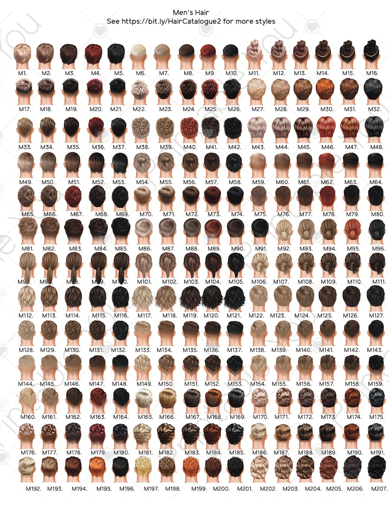 Pu&ograve; includere: Un grafico con 207 diversi stili di capelli maschili, ognuno rappresentato come una vista posteriore di una testa con un diverso taglio di capelli. Le acconciature vanno da corte a lunga, con vari tagli, stili e texture.