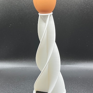 Egg Holder