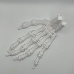 Articulated Skeleton Hand