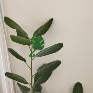 植物ベース | 植物サポート