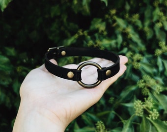 Black And Bronze Simple O-ring Choker Collar