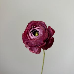 Crepe Paper Ranunculus Flowers