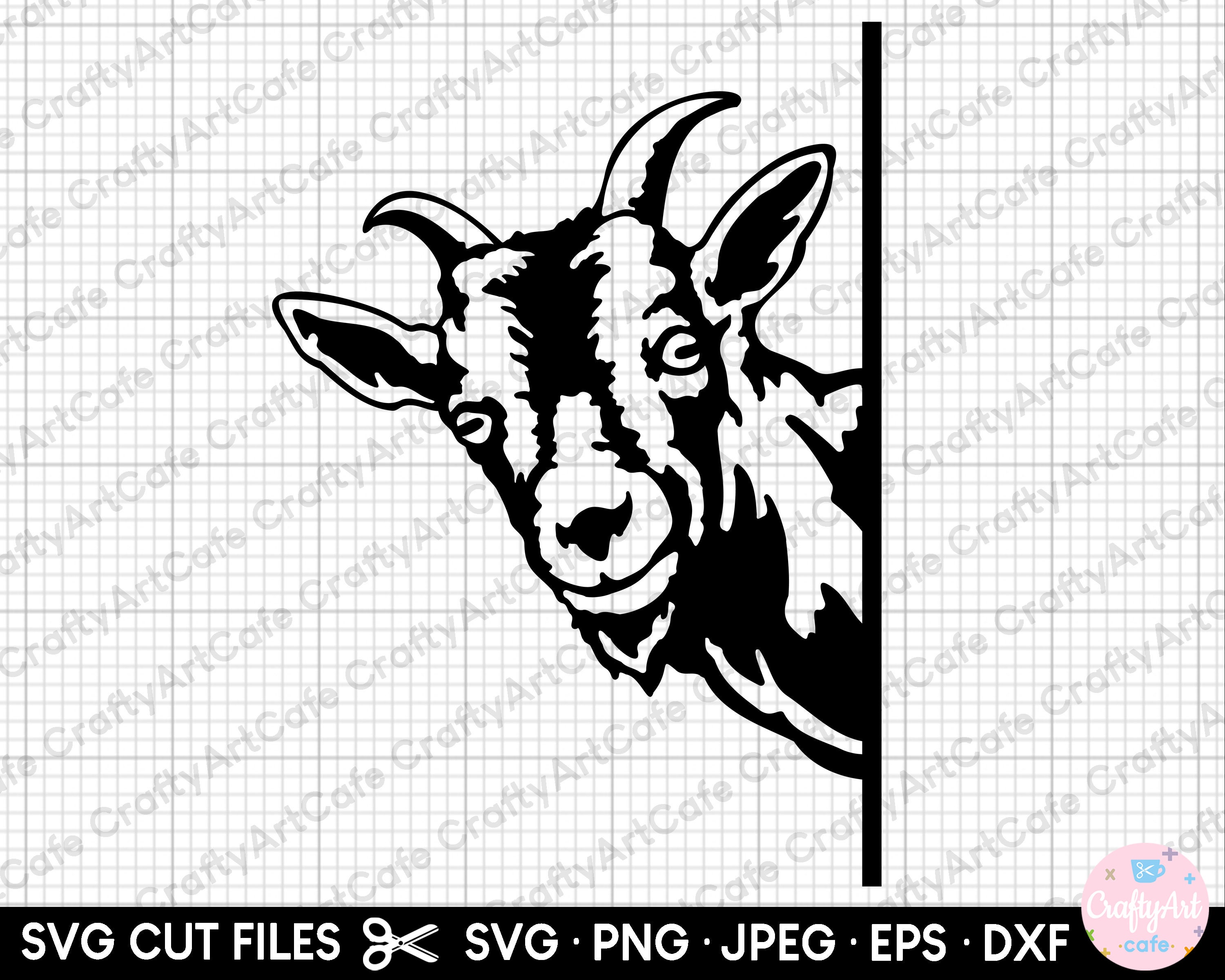 Shocking Truth: What'S The Real Name For A Grown Female Goat? - cjz50hp
