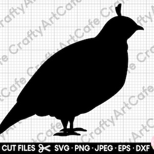May include: Black silhouette of a quail with a small crest on its head. The bird is facing right and has a long tail.