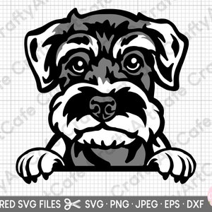 schnauzer svg cute schnauzer svg schnauzer png
