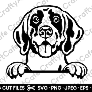 German Shorthair Pointer Peeking SVG German Shorthair Pointer SVG Cricut Clip Art Png