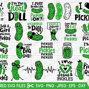 Pickle Gifts for Pickle Lovers, I'm Kind of A Big Dill, Cozy Super Soft  Plush Fleece Throw Blanket for All Seasons, Funny Pickle Dill Gag Gifts for