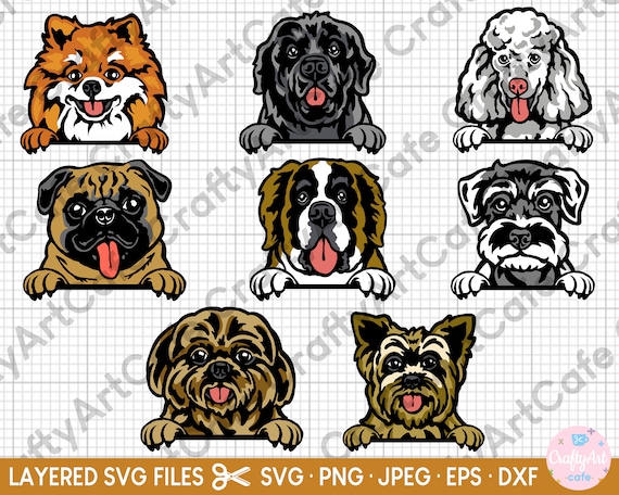 Dog Svg Bundle, Pug, Pomerian, Newfoundland, Poodle, Saint