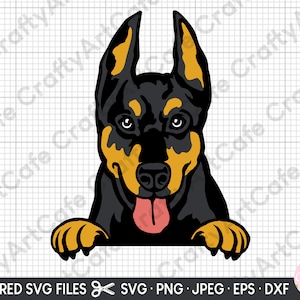 doberman asomando svg doberman sonriendo svg archivo cortado